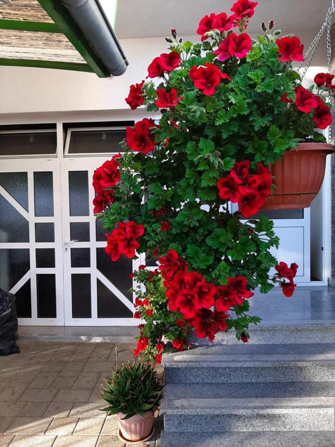 Apartment Bracic Vodice Buitenkant foto